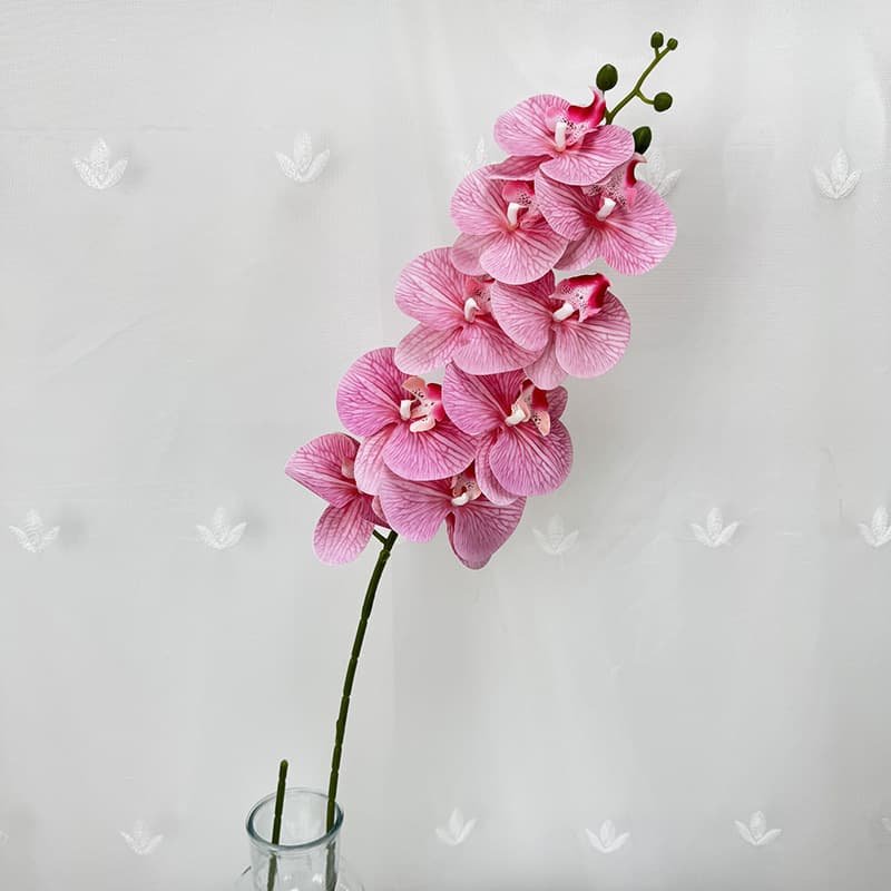 Artificial Phalaenopsis Orchid Flowers for Wedding Decoration 12 Artificial Phalaenopsis Orchid Flowers for Wedding Decoration 8