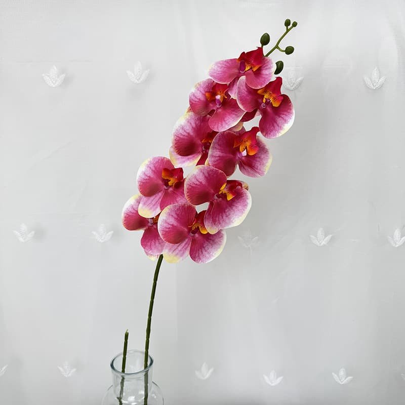 Artificial Phalaenopsis Orchid Flowers for Wedding Decoration 11 Artificial Phalaenopsis Orchid Flowers for Wedding Decoration 9