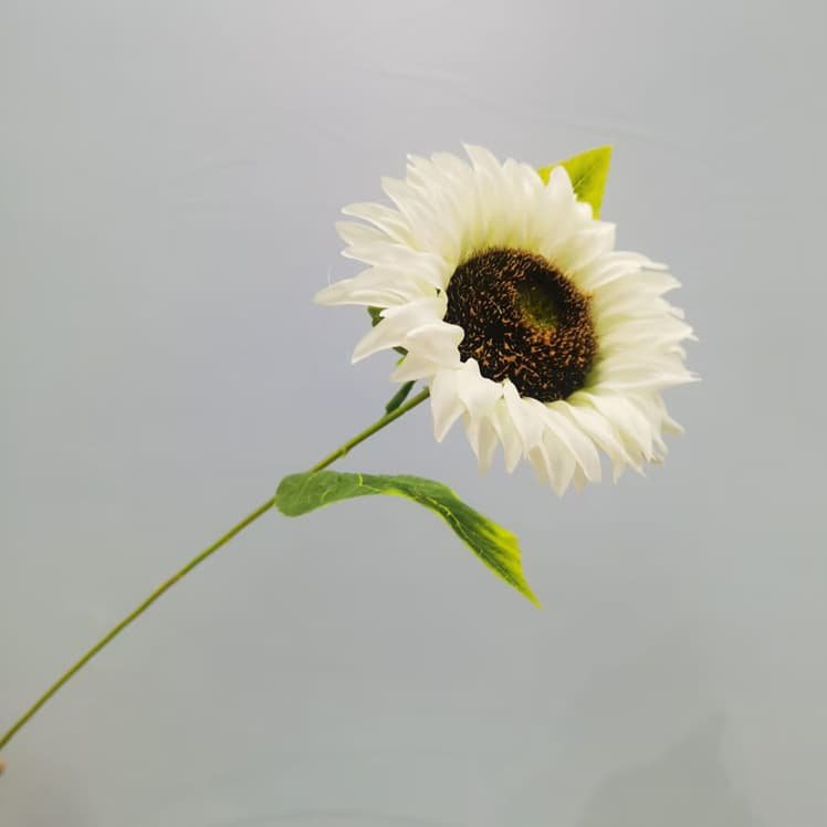100 Kinds Green Artificial Flowers With Rose , Tulip , Monstera Deliciosa 122 green artificial flowers 39