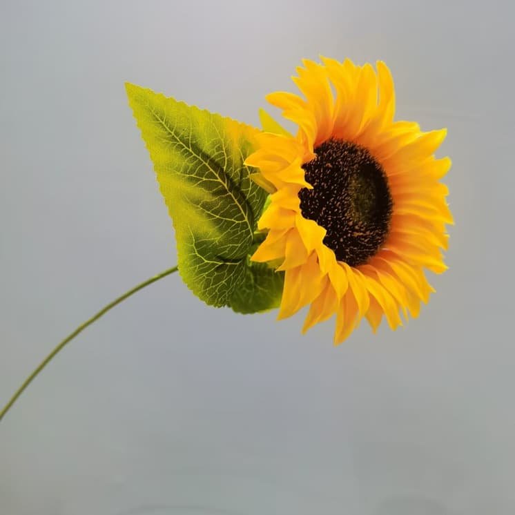 100 Kinds Green Artificial Flowers With Rose , Tulip , Monstera Deliciosa 120 green artificial flowers 41