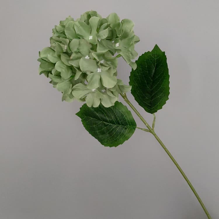 100 Kinds Green Artificial Flowers With Rose , Tulip , Monstera Deliciosa 96 green artificial flowers 65
