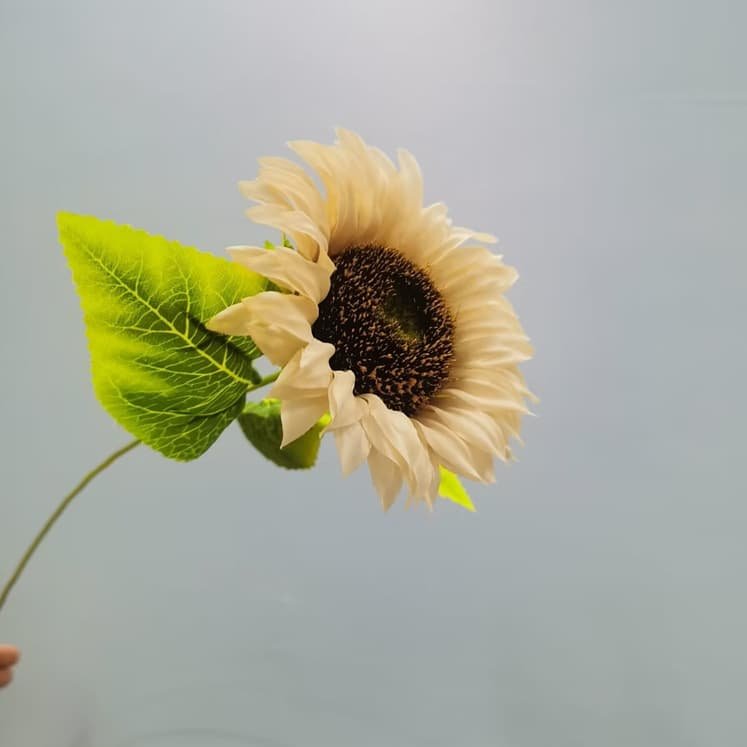 Wholesale 130 Kinds Champagne Artificial Flowers for Home & Event Decoration 76 主图 49