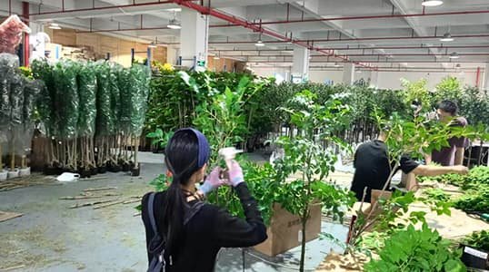 Home 9 Skilled team conducting rigorous quality inspection and assembly of artificial greenery in our facility.
